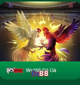 fu88